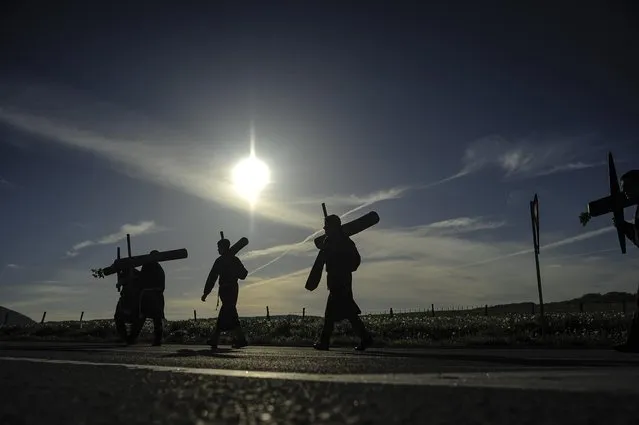Penitents carry their crosses during spring “Romeria Cruceros de Arce”, while they walk alongside Villanueva de Arce and Roncesvalles northern Spain Sunday, May 10, 2015. (Photo by Alvaro Barrientos/AP Photo)