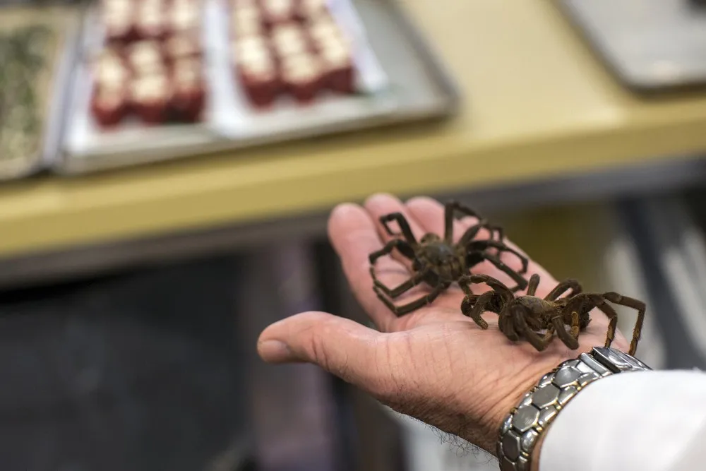 The Explorers Club Annual Dinner at the Waldorf Astoria in New York