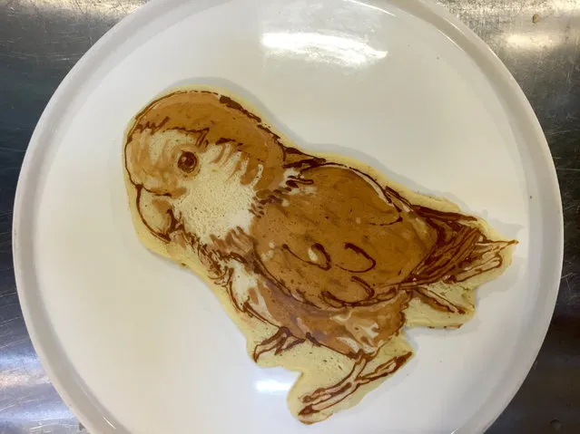 A pancake that looks like a parrot, in Zama City, Japan. (Photo by Keisuke Inagaki/Barcroft Images)