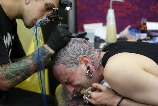 A man has his head tattooed during the Great British Tattoo Show in Alexandra Palace in north London, Britain May 23, 2015. (Photo by Neil Hall/Reuters)