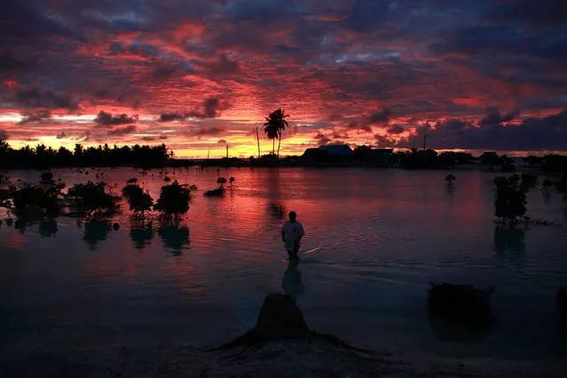 A villager wades through a small lagoon, which at high-tide laps at the base of homes, near the village of Tangintebu on South Tarawa in the central Pacific island nation of Kiribati. (Photo by Reuters/Stringer)