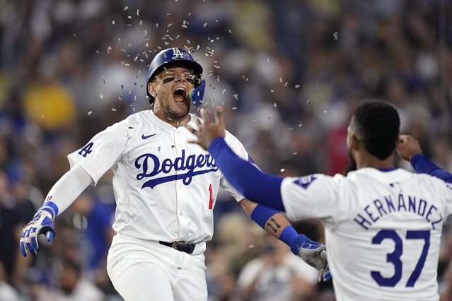 Los Angeles Dodgers' Miguel Rojas, left, has sunflower seeds thrown at him by Teoscar Hernández after hitting a two-run home run during the fifth inning of a baseball game against the Kansas City Royals Friday, June 14, 2024, in Los Angeles. (Photo by Mark J. Terrill/AP Photo)