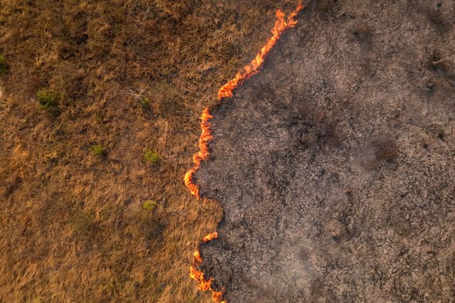 Aerial view of a fire outbreak in a rural area of Corumba, Mato Grosso do Sul State, Brazil, taken on June 25, 2024. The Brazilian state of Mato Grosso do Sul decreed on June 24 an "emergency situation" due to "out-of-control" forest fires in the Pantanal, the world's largest wetland, in the center-west of the country. (Photo by Florian Plaucheur/AFP Photo)