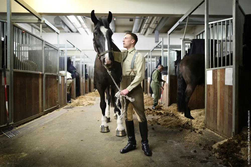 A Day in the Life of the Household Cavalry Ahead of the Diamond Jubilee