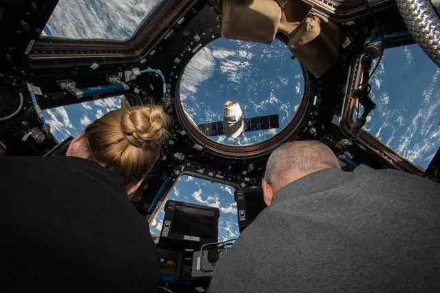 A handout picture made available by NASA on 20 August 2016 shows International Space Station (ISS) Expedition 48 crew members Kate Rubins (L) and Jeff Williams (R) preparing to grapple the SpaceX Dragon supply spacecraft from aboard the ISS, in space, 20 July 2016. Rubins and Williams successfully conducted a spacewalk on 19 August 2016 to install the first of two international docking adapters (IDAs). The new docking port will enable the future arrival of US commercial crew spacecraft. (Photo by EPA/NASA)