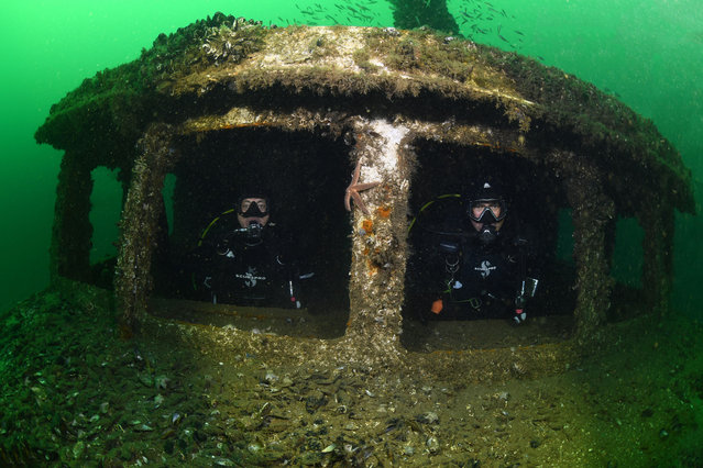 Divers discover the ferry, which was sunk 180 meters off the shore in 2013 in Karamursel district after being used for passenger transportation in the city lines for many years and which is home to many living species, including soft coral at a depth of 23 meters, pina, which is under the danger of extinction, and mackerel identical to the Marmara Sea in Kocaeli, Turkiye on August 22, 2024. The project is conducted in cooperation with Kocaeli Metropolitan Municipality, Karamursel Municipality and Karamursel Underwater Sports Association (KARSAD). (Photo by Tahsin Ceylan/Anadolu via Getty Images)