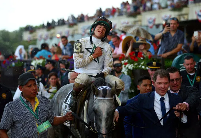 June 11, 2016; Elmont, NY, USA; Creator (13) jockey Irad Ortiz Jr., reacts as he's walked to the winner's circle after winning the 148th running of the Belmont Stakes at Belmont Park. (Photo by Brad Penner/USA TODAY Sports)