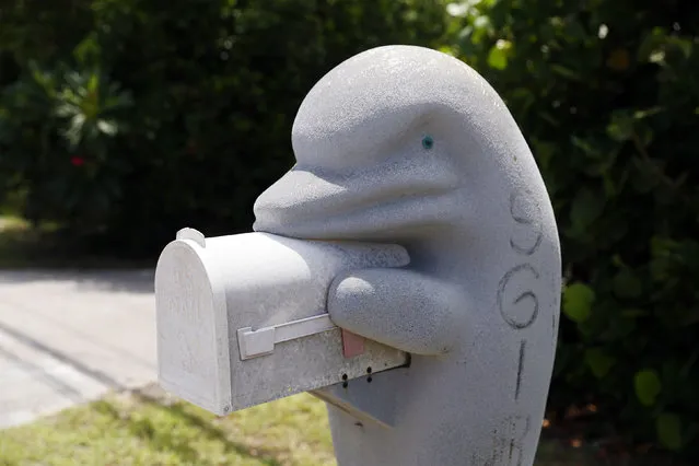 A mailbox in the shape of a dolphin is seen along the highway US-1 in the Lower Keys near Key Largo in Florida, July 10, 2014. (Photo by Wolfgang Rattay/Reuters)
