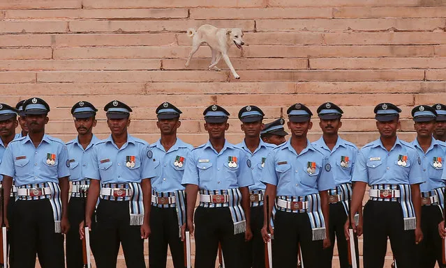 Soldiers stand at attention as a dog runs behind during a ceremonial reception for Nepalese Prime Minister Sher Bahadur Deuba at the forecourt of India's Rashtrapati Bhavan presidential palace in New Delhi, India, August 24, 2017. (Photo by Adnan Abidi/Reuters)