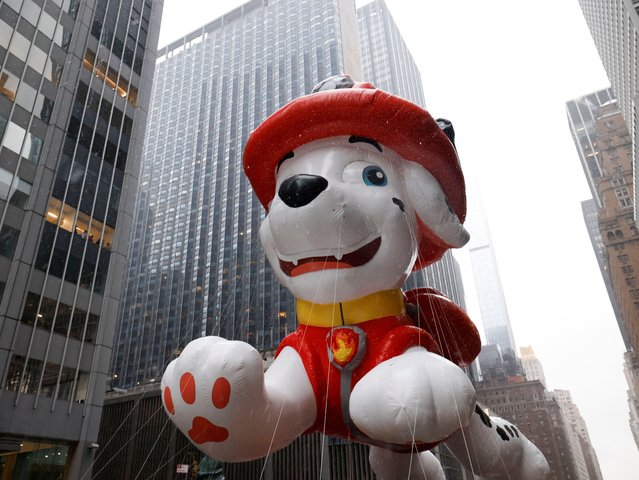 Marshall from PAW Patrol balloon flies during the 98th Macy's Thanksgiving Day Parade in New York City on November 28, 2024. (Photo by Brendan McDermid/Reuters)