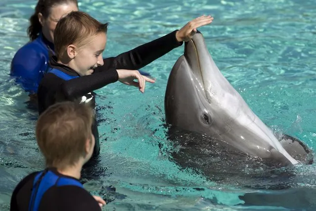 A young patient from Rady Children's Hospital directs a bottlenose dolphin to spin around after being invited to swim and interact with dolphins at Sea World in San Diego, California August 27, 2015. (Photo by Mike Blake/Reuters)