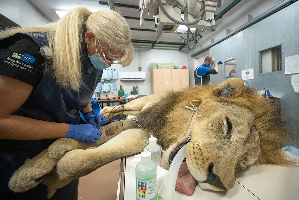 USA last Week, Part 3/3