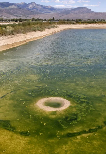 Bryce Dalton and his two brothers recently discovered a round hole or crater in the bottom of their irrigation pond on their farmland in Circleville, in Piute County, Utah. So far, they have not found anyone who knows what it is or what causes it to be there. Experts from the Utah Geological Survey took a look and were initially baffled. (Photo by Stuart Johnson/AP Photo/Deseret News)