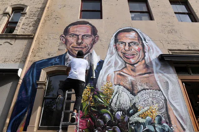 Australian artist Scott Marsh completes a mural artwork featuring the likeness of former Australian Prime Minister Tony Abbott marrying himself in a wedding dress in the Sydney suburb of Redfern, Australia September 11, 2017. (Photo by Dean Lewins/Reuters/AAP)