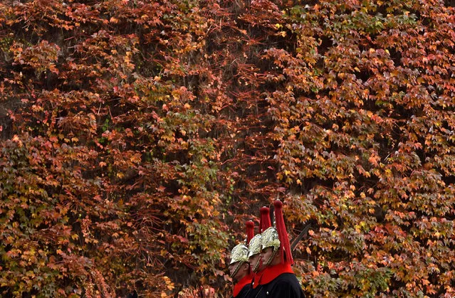 Members of the Household Cavalry ride past autumn foliage in central London, Britain, November 3, 2017. (Photo by Toby Melville/Reuters)