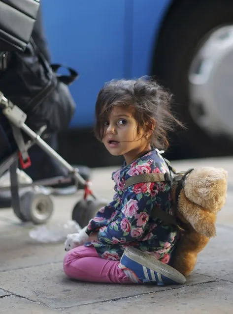 A migrant's girl waits to board a bus after arriving by train at Schoenefeld railway station, south of Berlin, Germany, September 13, 2015. (Photo by Hannibal Hanschke/Reuters)