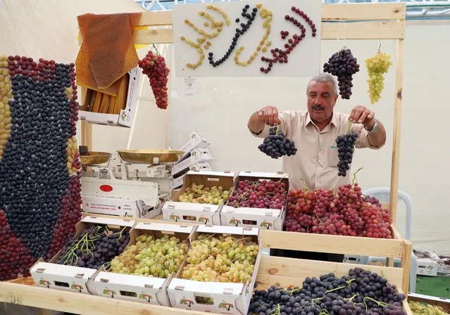 Palestinians display grapes during the Palestinian grapes festival in the village of Halhul, near the West Bank city of Hebron, 18 September 2022. Hebron is famous for its grape production because it contains many vineyards. (Photo by Abed Al Hashlamoun/EPA/EFE)