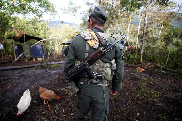A member of the 51st Front of the Revolutionary Armed Forces of Colombia (FARC) walks at a camp in Cordillera Oriental, Colombia, August 16, 2016. (Photo by John Vizcaino/Reuters)