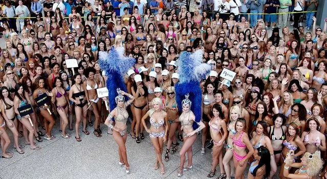 Model and television personality Holly Madison (center), flanked by “Jubilee!” showgirls Deana Dakake (left) and Amanda Portie pose after helping the Las Vegas Convention & Visitors Authority earn a Guinness World Record for staging the world's largest bikini parade with 281 participants marching in swimwear along the Las Vegas Strip May 14, 2009. (Photo by Ethan Miller/Visitlasvegas.com)
