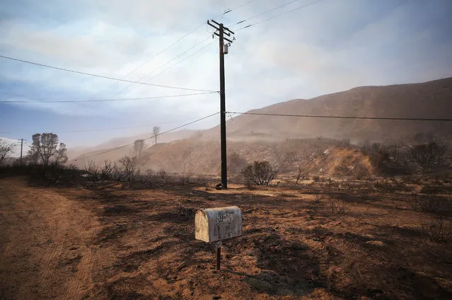 A mailbox stands in an area blackened by the Lake Fire on August 13, 2020 in Lake Hughes, California. The fire, which quickly grew to 10,000 acres yesterday, was burning in the Lake Hughes area of Angeles National Forest prompting mandatory evacuations and destroying multiple structures. (Photo by Mario Tama/Getty Images)