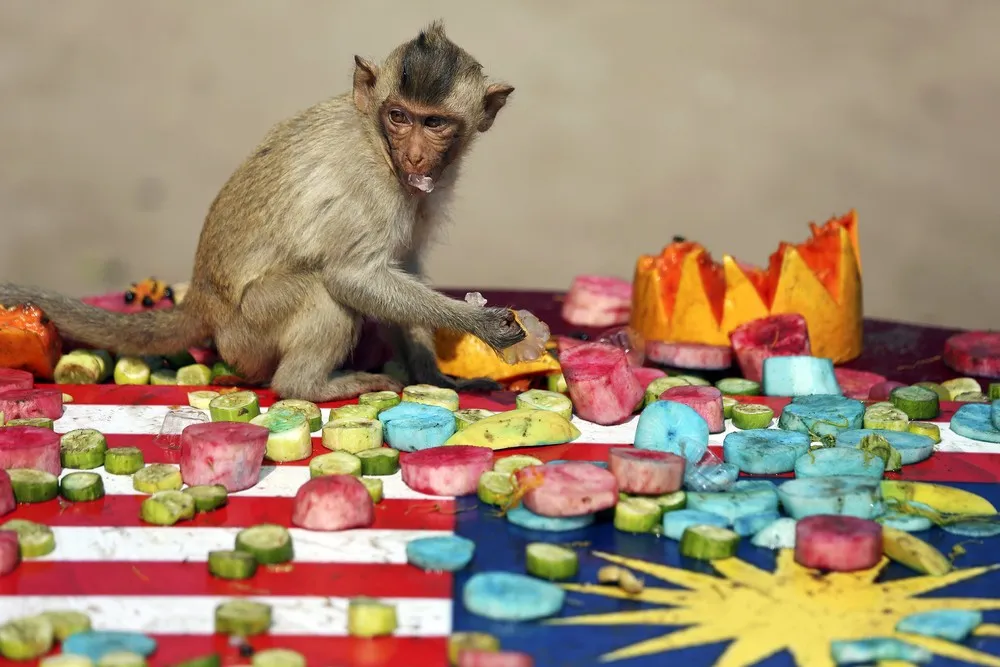 A Annual Monkey Buffet Festival at the Pra Prang Sam Yot Temple in Thailand