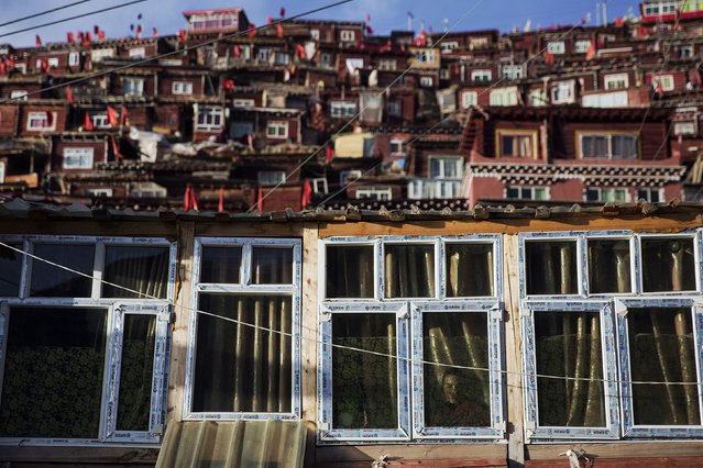 A Tibetan Buddhist monk looks through the window of his cabin near the Larung Wuming Buddhist Institute, located some 3700 to 4000 metres above the sea level in remote Sertar county, Garze Tibetan Autonomous Prefecture, Sichuan province, China October 31, 2015. (Photo by Damir Sagolj/Reuters)