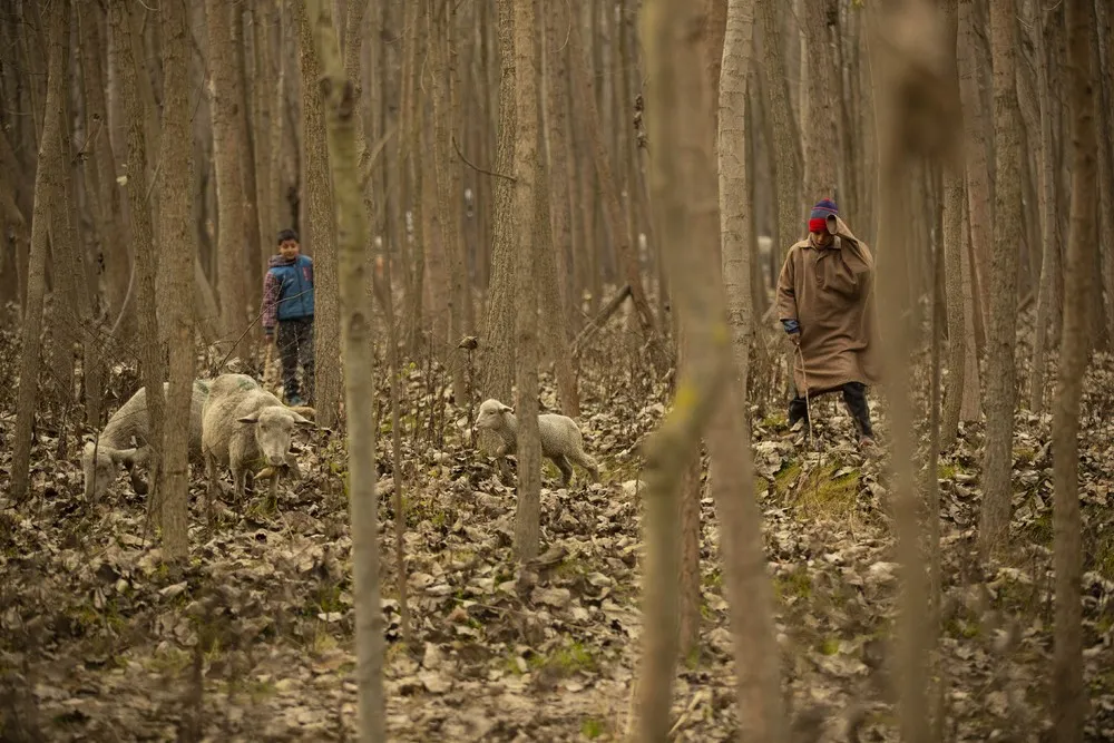 India last Week, Part 1/2