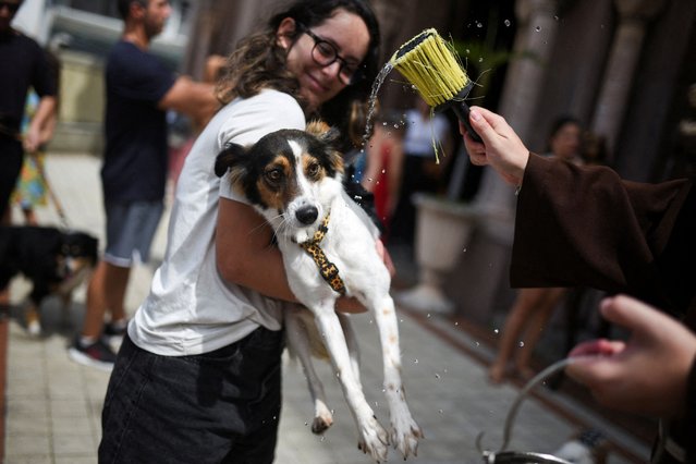 A woman holds her dog to be blessed by a priest at a church during the ceremony commemorating the Feast Day of Saint Francis of Assisi, patron saint of animals, in Rio de Janeiro, Brazil, on October 4, 2025. (Photo by Tita Barros/Reuters)