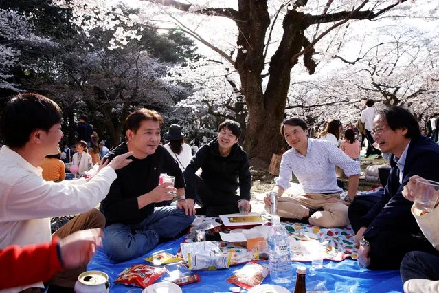 People enjoy a cherry blossoms party, in Tokyo, Japan on March 20, 2023. (Photo by Androniki Christodoulou/Reuters)