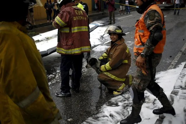 A rescuer holds a dog next to the remains of an aircraft crash in Guatemala City, November 21, 2015. (Photo by Jorge Dan Lopez/Reuters)