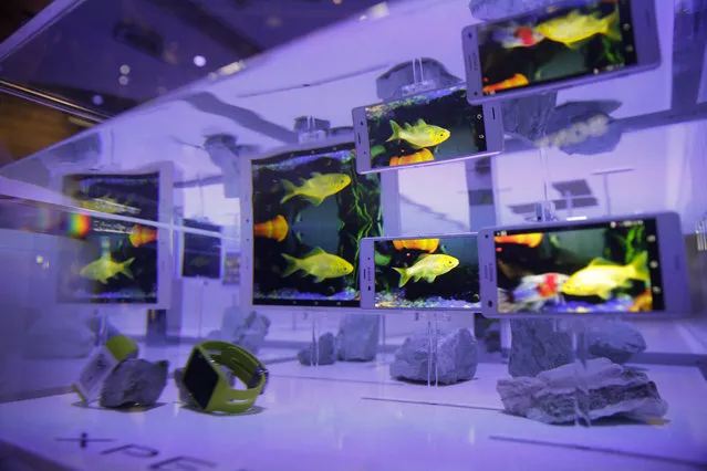 Sony Xperia Z3 tablet and smartphones are displayed in water at the Sony booth during a news conference at the International CES Monday, January 5, 2015, in Las Vegas. (Photo by Jae C. Hong/AP Photo)