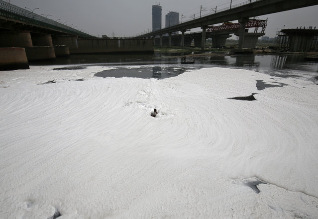 A man swims as he collects recyclable items in the polluted water of the river Yamuna ahead of World Environment Day, in New Delhi, India, June 4, 2018. (Photo by Amit Dave/Reuters)