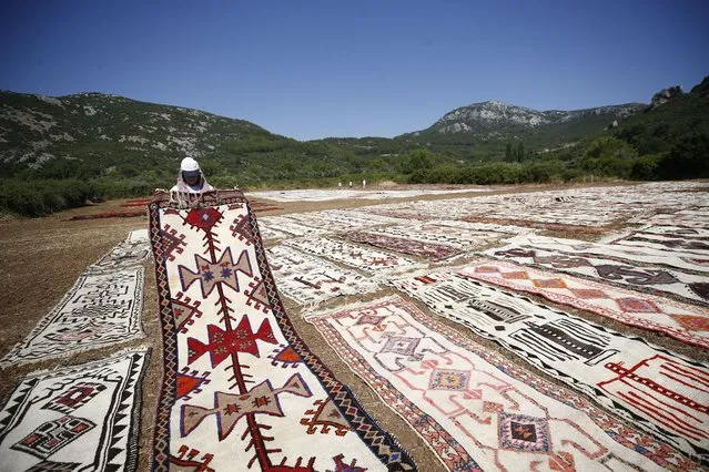 Hundreds of hand-woven carpets are laid on fields after the harvest in order to make their colors more pastel in Dosemealti district of Antalya, Turkiye on July 20, 2023. Obtained from plants, the dye of carpets turn more pastel when they are exposed to sunlight. (Photo by Suleyman Elcin/Anadolu Agency via Getty Images)