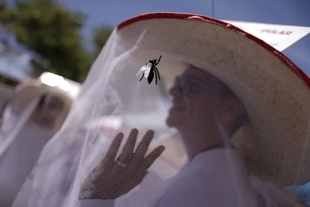 A reveller wears a mosquito net hat, as a satirical costume, during an annual block party known as “Enquanto isso na Sala da Justiça” (Meanwhile, in the justice room), one of the many carnival parties taking place in the neighbourhood of Olinda, Brazil February 7, 2016. (Photo by Ueslei Marcelino/Reuters)