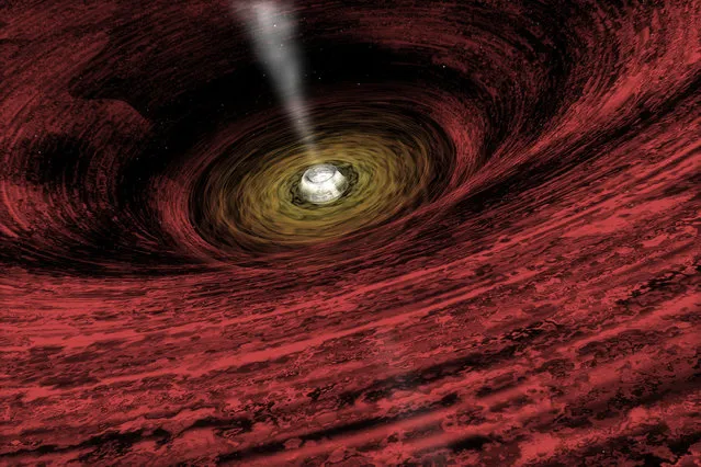 An artist's impression of a growing supermassive black hole located in the early Universe is seen in this NASA handout illustration released on June 15, 2011. Using the deepest X-ray image ever taken, astronomers found the first direct evidence that massive black holes were common in the early universe. This discovery from NASA's Chandra X-Ray Observatory shows that very young black holes grew more aggressively than previously thought, in tandem with the growth of their host galaxies. (Photo by Reuters/NASA/Chandra X-Ray Observatory/A.Hobart)