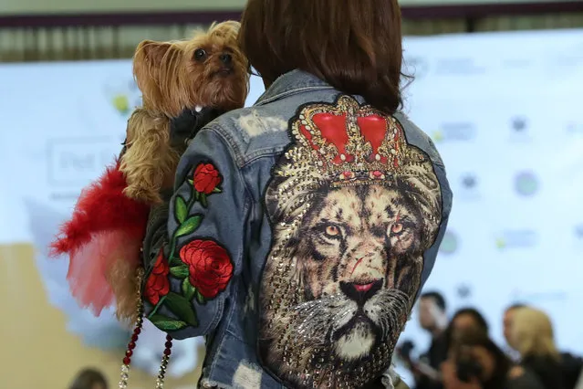 A woman holds a dog on the runway at the 16th annual New York Pet fashion show in New York, U.S., February 7, 2019. (Photo by Shannon Stapleton/Reuters)