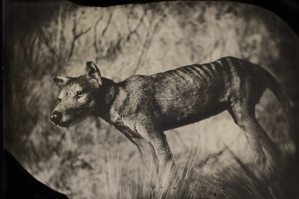 2013: Year in Review by National Geographic. Part 1/3