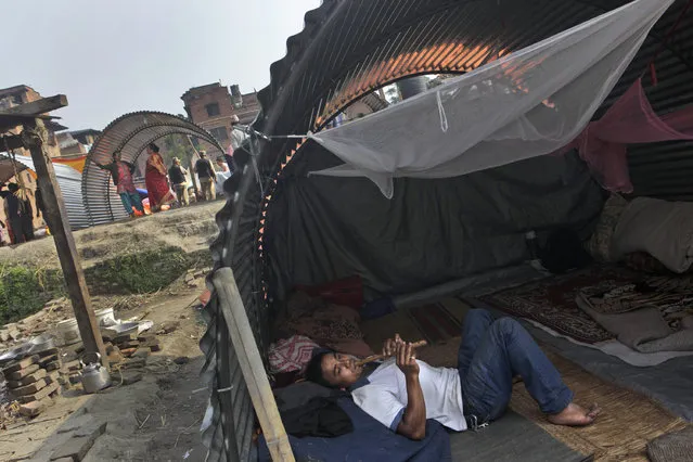 A Nepalese man, whose house was damaged in the April 25 earthquake, plays a flute in a temporary shelter made out of galvanized sheet in Bhaktapur, Nepal, Tuesday, May 19, 2015. (Photo by Niranjan Shrestha/AP Photo)