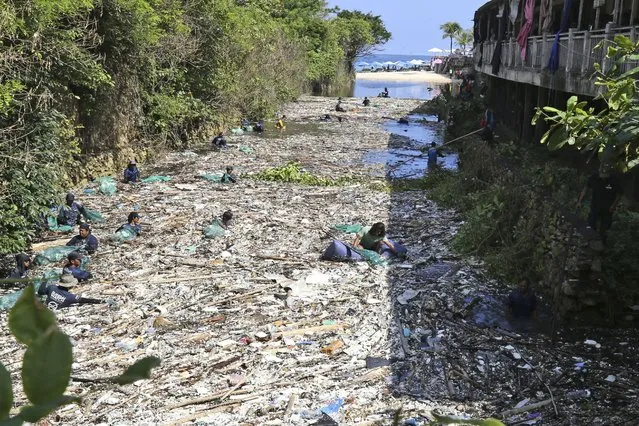 Environmental activists and volunteers pick up trash from a garbage-strewn river during a river cleanup event in Pecatu, Bali, Indonesia on Friday, March 22, 2024. (Photo by Firdia Lisnawati/AP Photo)