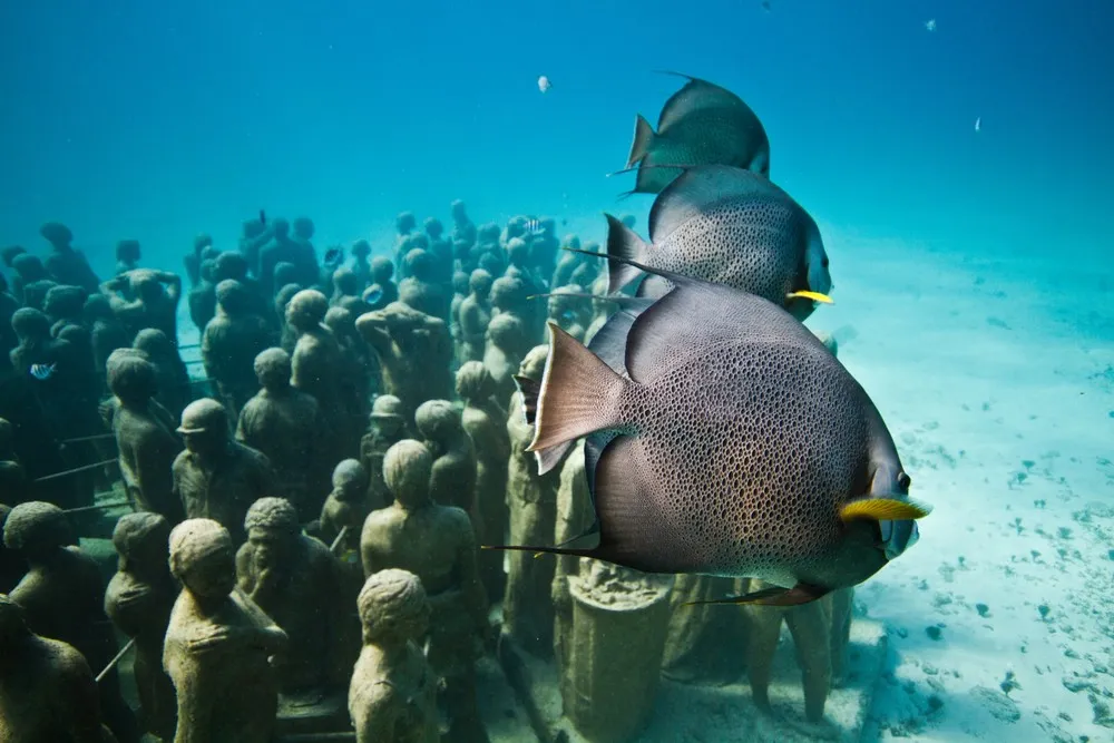 Underwater Sculpture, Part 1: “The Silent Evolution”