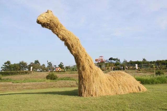 Straw Sculptures In Japan