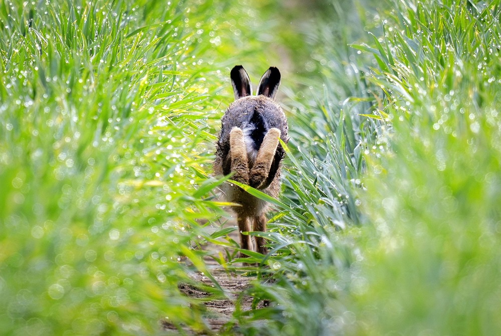 Some Photos: In Motion