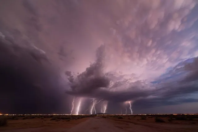 Lightning strikes hit just south of Casa Grande as the sun sets creating a mammatus spread out into the upper skies in July 2013. (Photo by Mike Olbinski/Barcroft Media)