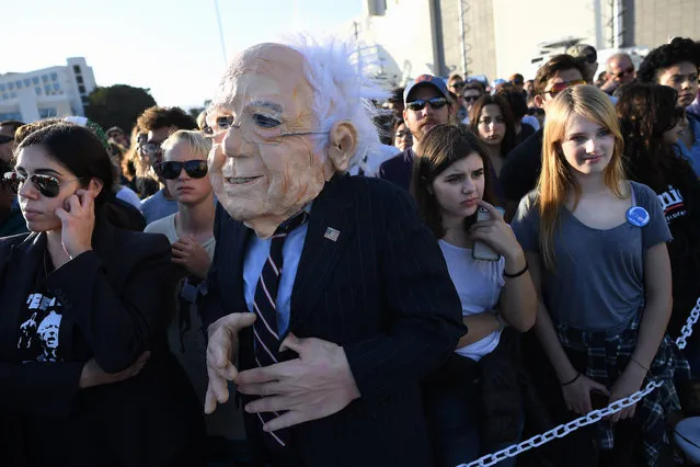 A person dressed as presidential candidate, Bernie Sanders is seen at a rally at Santa Monica High School on Monday May 23, 2016 in Santa Monica, CA. The primary in California is June 7th. (Photo by Matt McClain/The Washington Post)