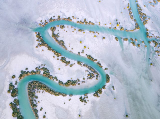 A water channel is flanked by mangrove trees in Abu Dhabi's Al Dhafra Region. (Photo by Ammar Alsayed Ahmed/Mangrove Photography Awards)