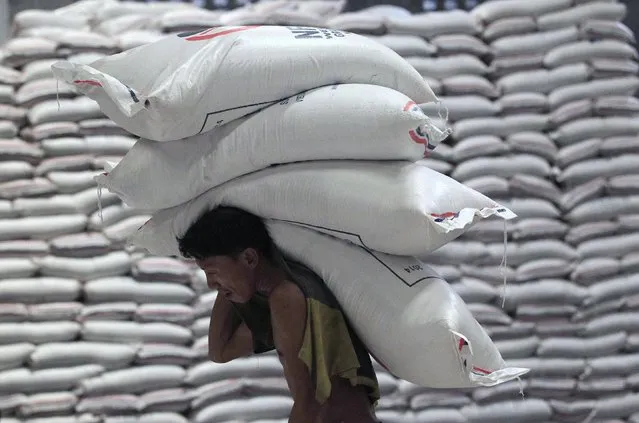 A worker carries sacks of rice while unloading inside the National Food Authority (NFA) warehouse in Taguig city, south of Manila July 3, 2014. The Philippines, one of the world's biggest rice importers, is buying an additional 200,000 tonnes from Vietnam, the world's No. 2 supplier after India, to stabilise local retail prices that have surged more than 20 percent from last year due to tight supply, local media reported. (Photo by Romeo Ranoco/Reuters)