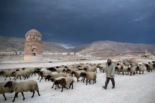 A shepherd graze of sheep herd in front of the Zeynel Bey Shrine (1473) which is carried to new Hasankeyf settlement from the old town after the hydro electric power plant project in Batman, Turkey, 25 December 2019. Turkey's second-largest hydroelectric dam project is being filled with the Tigris River despite protests. A 300-square-kilometer lake will be spawn by the 1820-meter long, 135-meter high Ilisu dam when the project is completed. therefore a new settlement was built three kilometres away because the historic town of Hasankeyf will be almost completely inundated. People were relocated there over the course of the end 2019. Also some historical monuments such as Er Rizk Mosque, Zeynel Bey Shrine and a castle gate were moved to the new settlement in this process. (Photo by Erdem Sahin/EPA/EFE)
