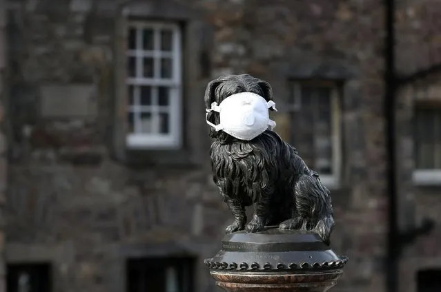 The Greyfriars Bobby statue is pictured wearing a mask as the spread of the coronavirus disease (COVID-19) continues, in Edinburgh, Scotland, Britain, March 23, 2020. (Photo by Russell Cheyne/Reuters)