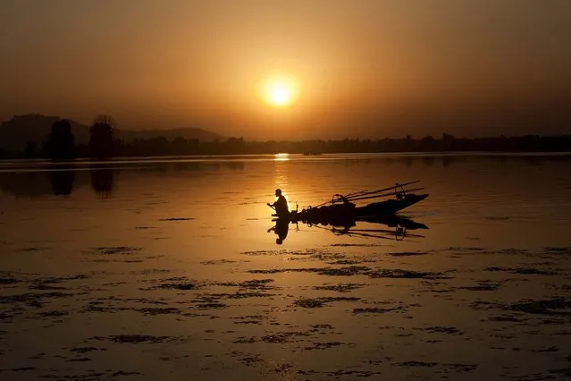 A Kashmiri fisherman rows his Shikara, or traditional boat, during sunset at the Dal Lake in Srinagar, India, on August 19, 2014. (Photo by Dar Yasin/Associated Press)