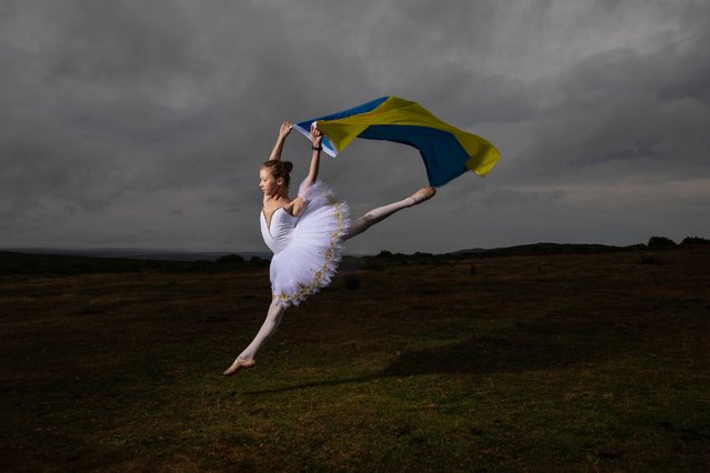 Accompanied with the colours of Ukrainian flag, Kateryna Andrushyna, aged 12, proudly wear and wave the flag in Swansea, United Kingdom on August 22, 2022 for Ukraine Independence Day, which is held on the 24th August. (Photo by Joann Randles/Cover Images)